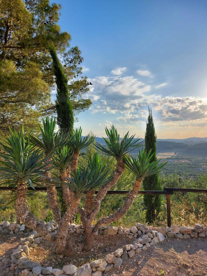 B&B Villa Maria Ester Vieste Kültér fotó