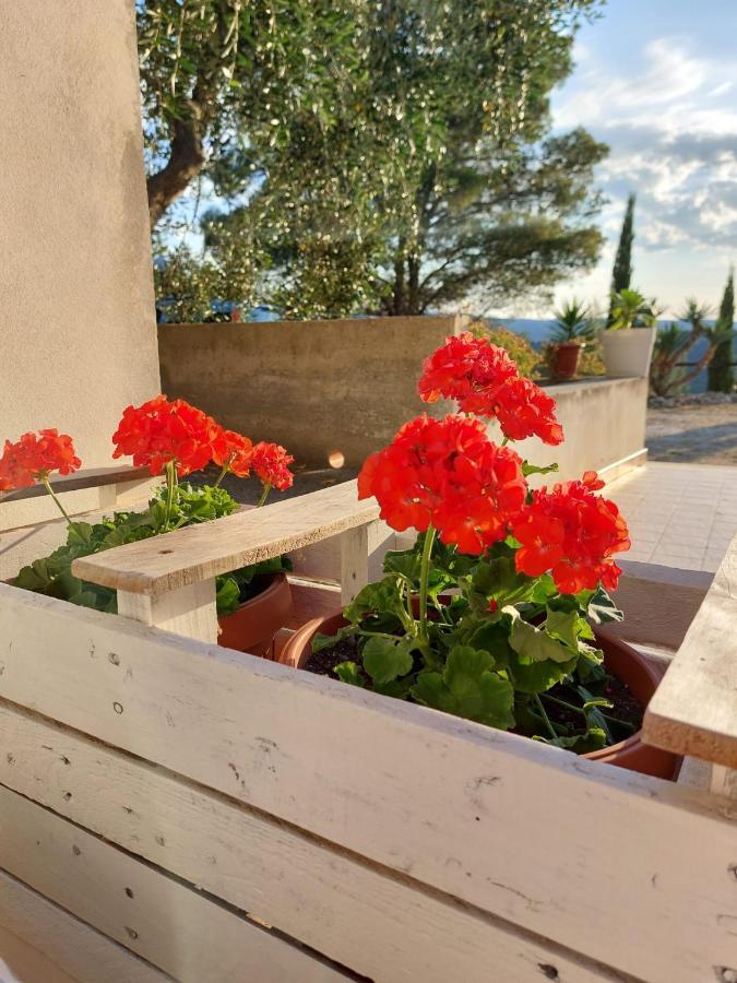 B&B Villa Maria Ester Vieste Kültér fotó